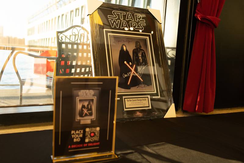 A silent auction lot on display before the doors opened at A Decade of Delight — photo 6 of 10.